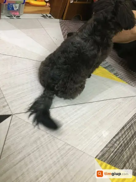 Ảnh 2