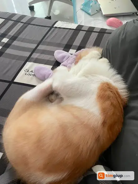 Ảnh 5