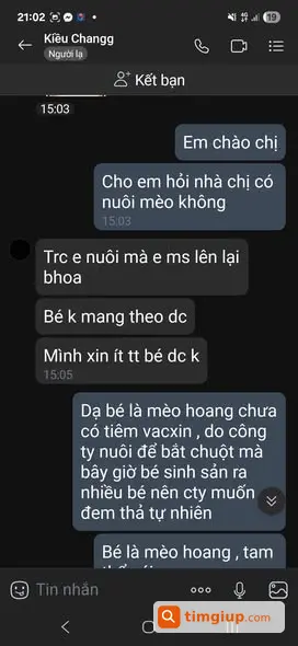 Ảnh 4