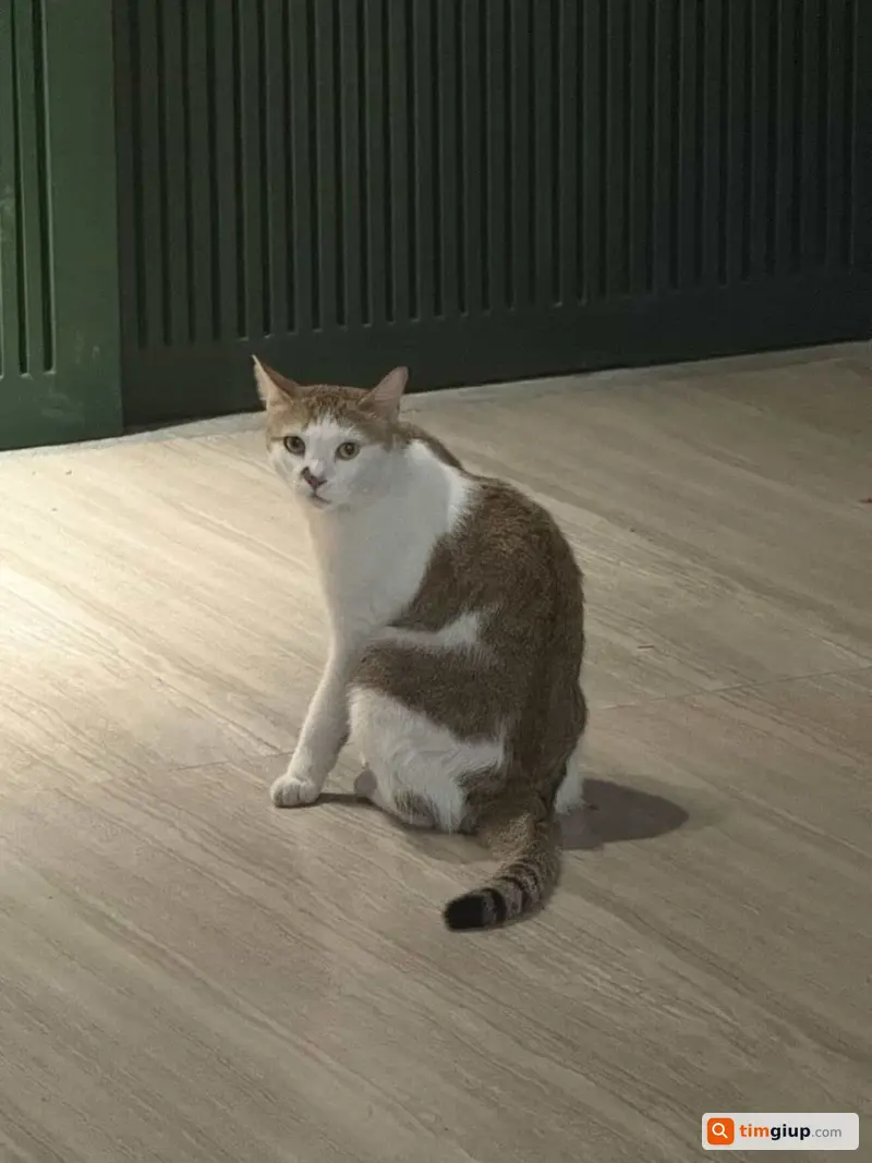 Ảnh 2