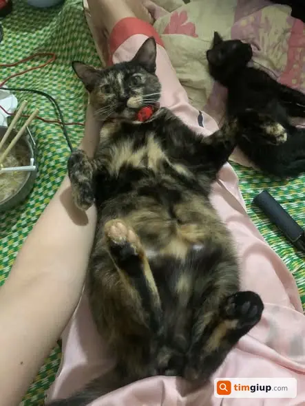 Ảnh 2