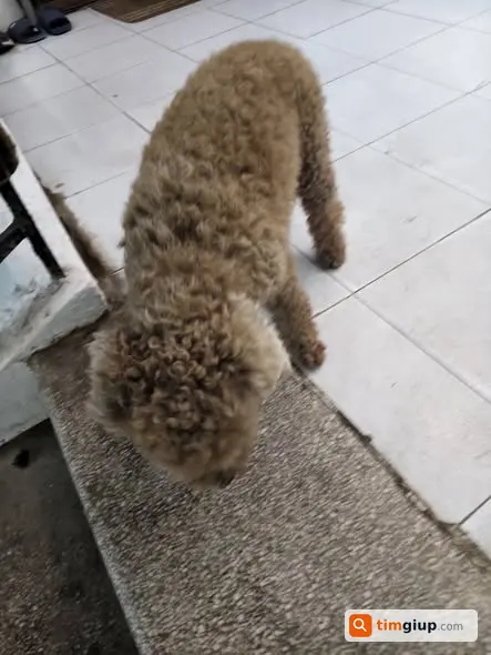 Ảnh 5