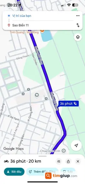 Ảnh 5