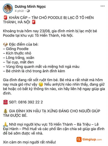 Ảnh 2