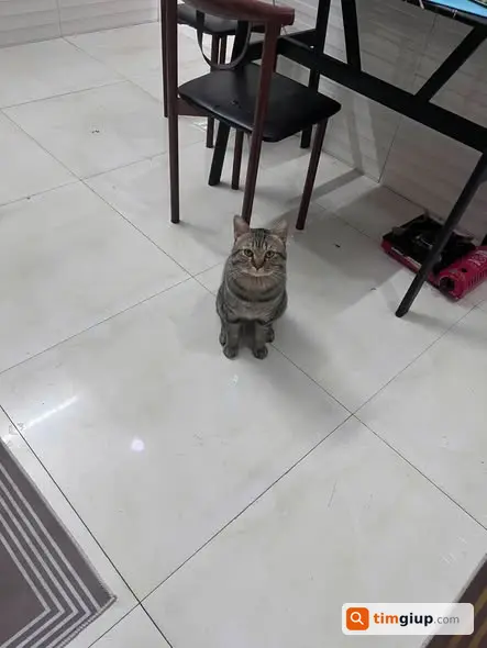 Ảnh 2