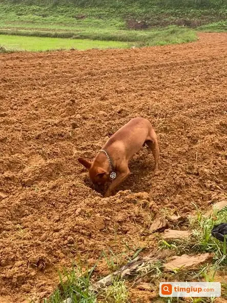 Ảnh 3