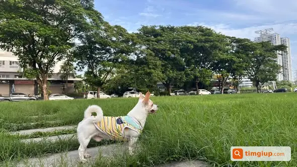 Ảnh 3