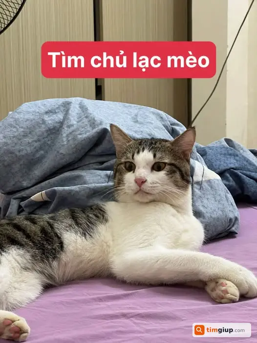 Ảnh 1