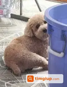 Ảnh 2
