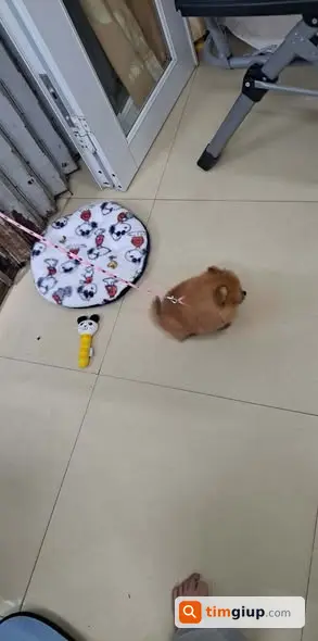 Ảnh 3