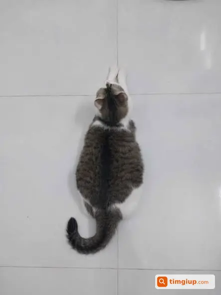 Ảnh 2
