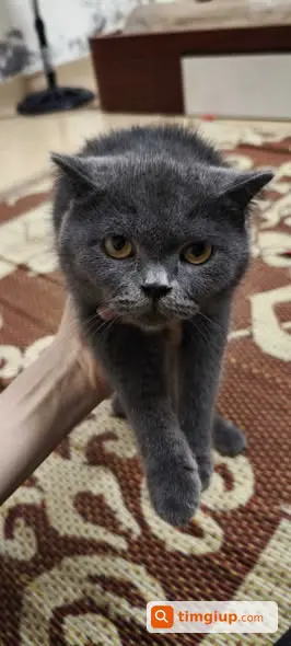 Ảnh 2