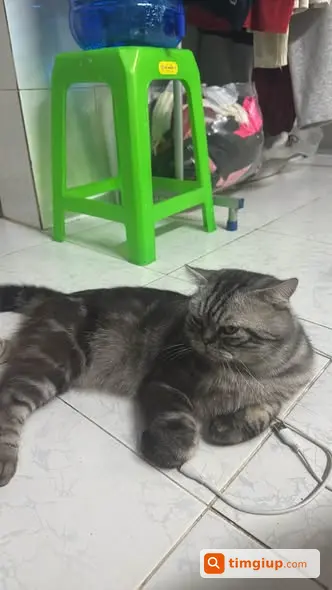 Ảnh 3