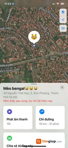 Ảnh 5
