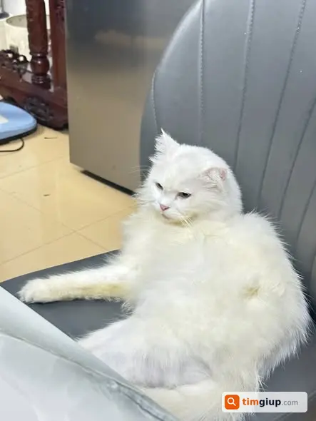Ảnh 2