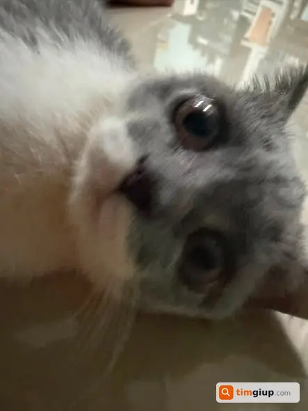 Ảnh 5