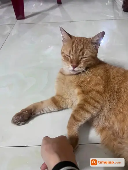 Ảnh 3