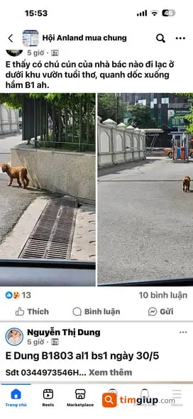 Ảnh 2