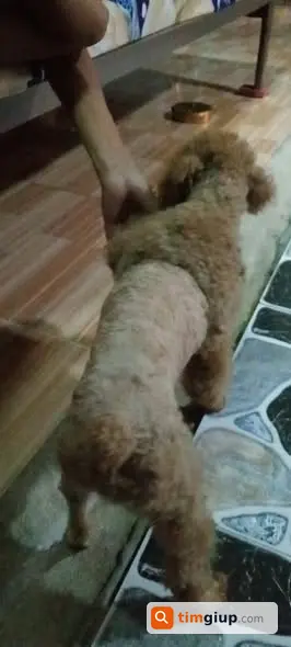 Ảnh 3