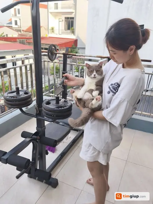 Tìm Mèo Thất Lạc Tại Chử Xá, Bát Tràng
