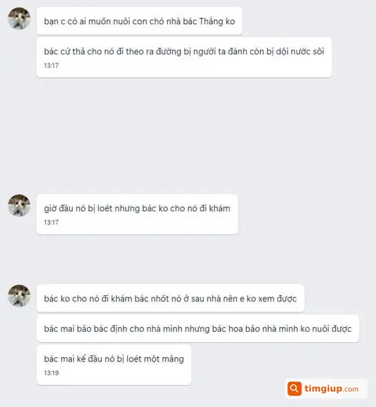 Tìm Người Hỗ Trợ Cứu Hộ Chó Bị Bạo Hành Tại Hoàng Mai