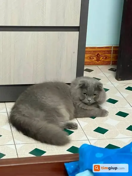 Ảnh 3