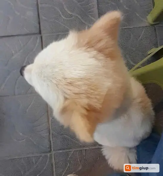 Ảnh 5