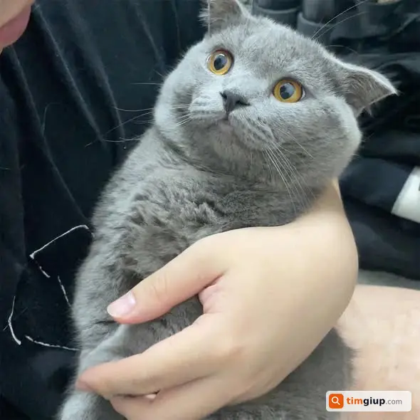 Ảnh 2