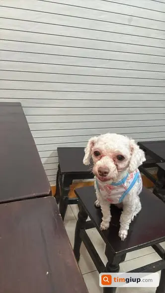 Ảnh 3