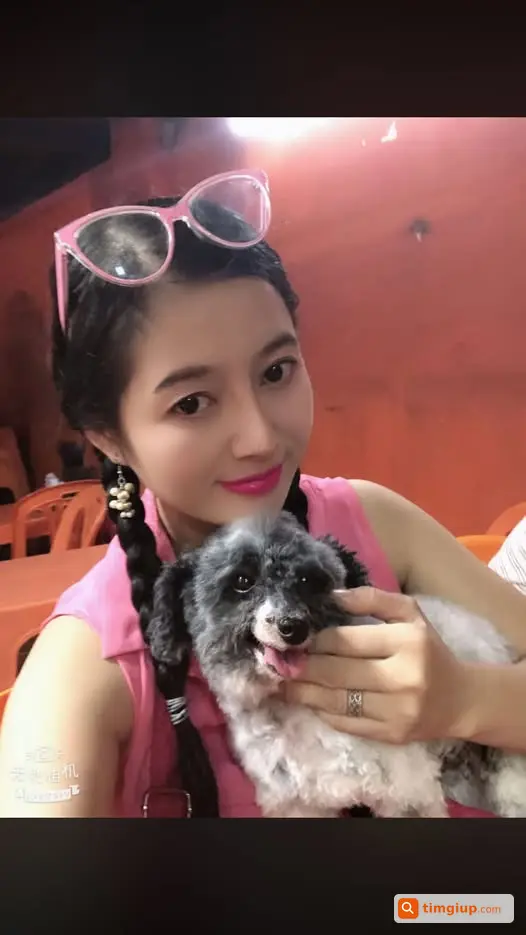 Poodle Thất Lạc Khu Vực Lê Trọng Tấn, An Khánh, Hoài Đức