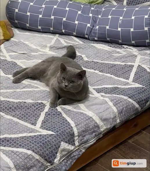 Ảnh 3