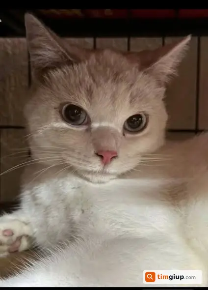 Ảnh 2