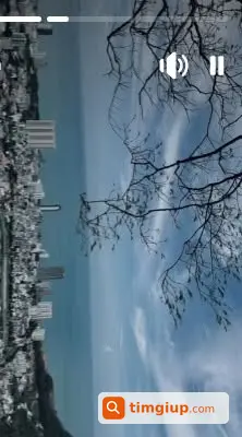 Ảnh 1