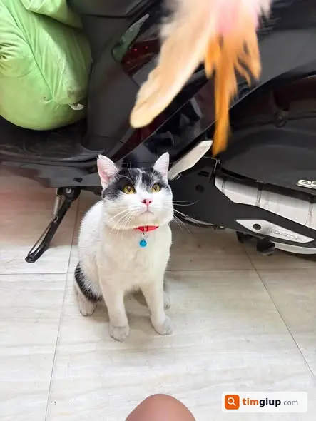 Ảnh 2