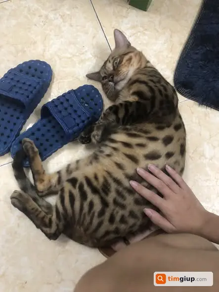 Ảnh 3