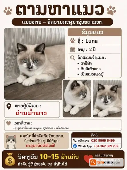 Ảnh 2