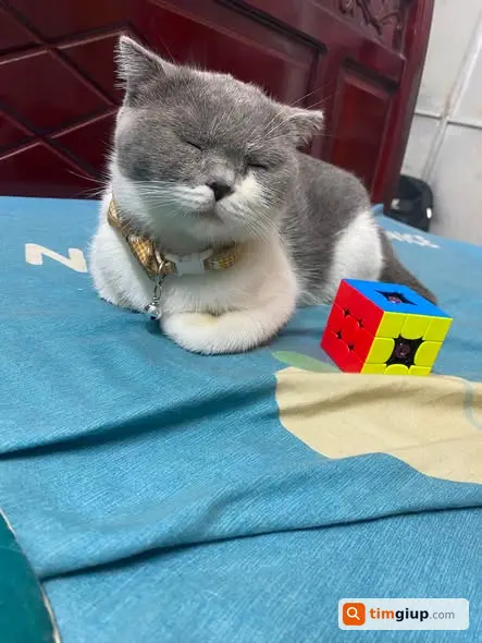 Ảnh 3