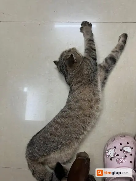 Ảnh 2