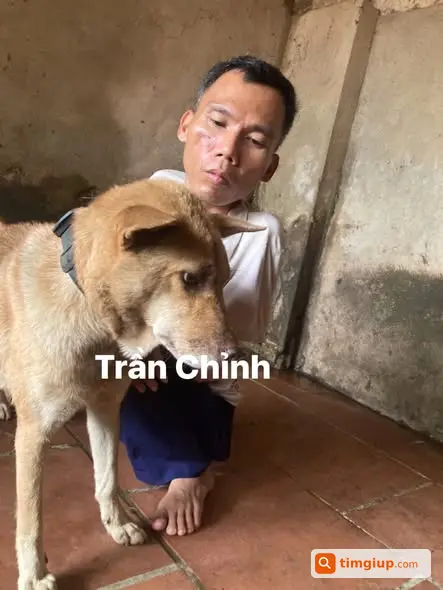 Xin Giúp Đỡ Làm Chỗ Quây Nhốt Đàn Cún Tại Nhà