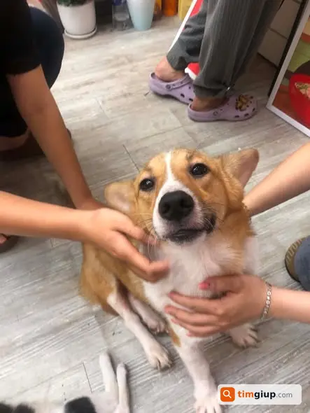 Ảnh 2