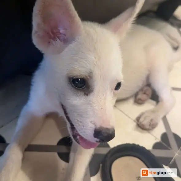Tìm Người Thân Thất Lạc Khu Vực Hồ Ba Mẫu, Hà Nội Cần Liên Hệ Gấp