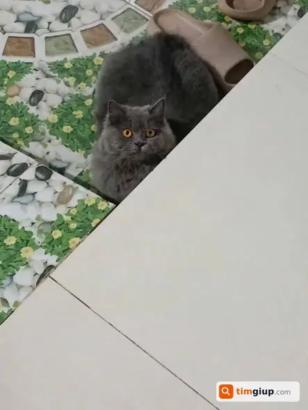 Ảnh 2
