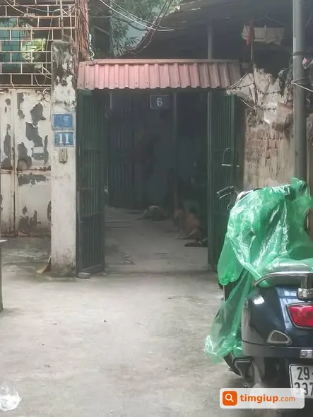 Ảnh 2
