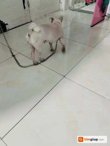 Ảnh 2