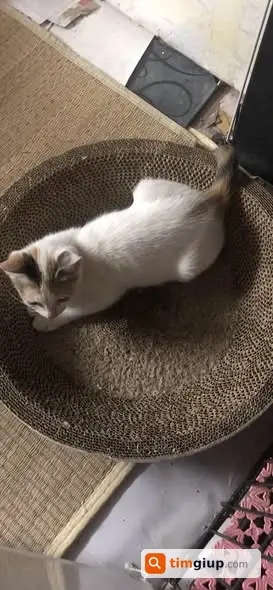 Ảnh 3