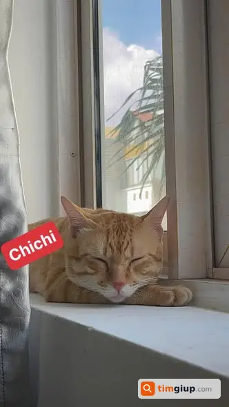 Ảnh 2