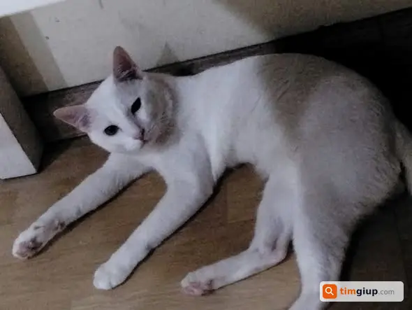 Ảnh 2