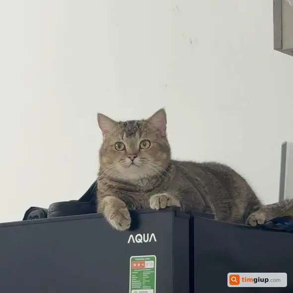 Ảnh 5