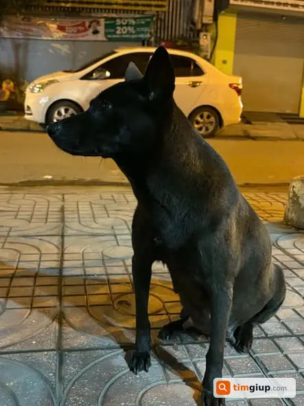 Ảnh 5