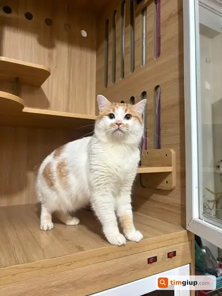 Ảnh 2